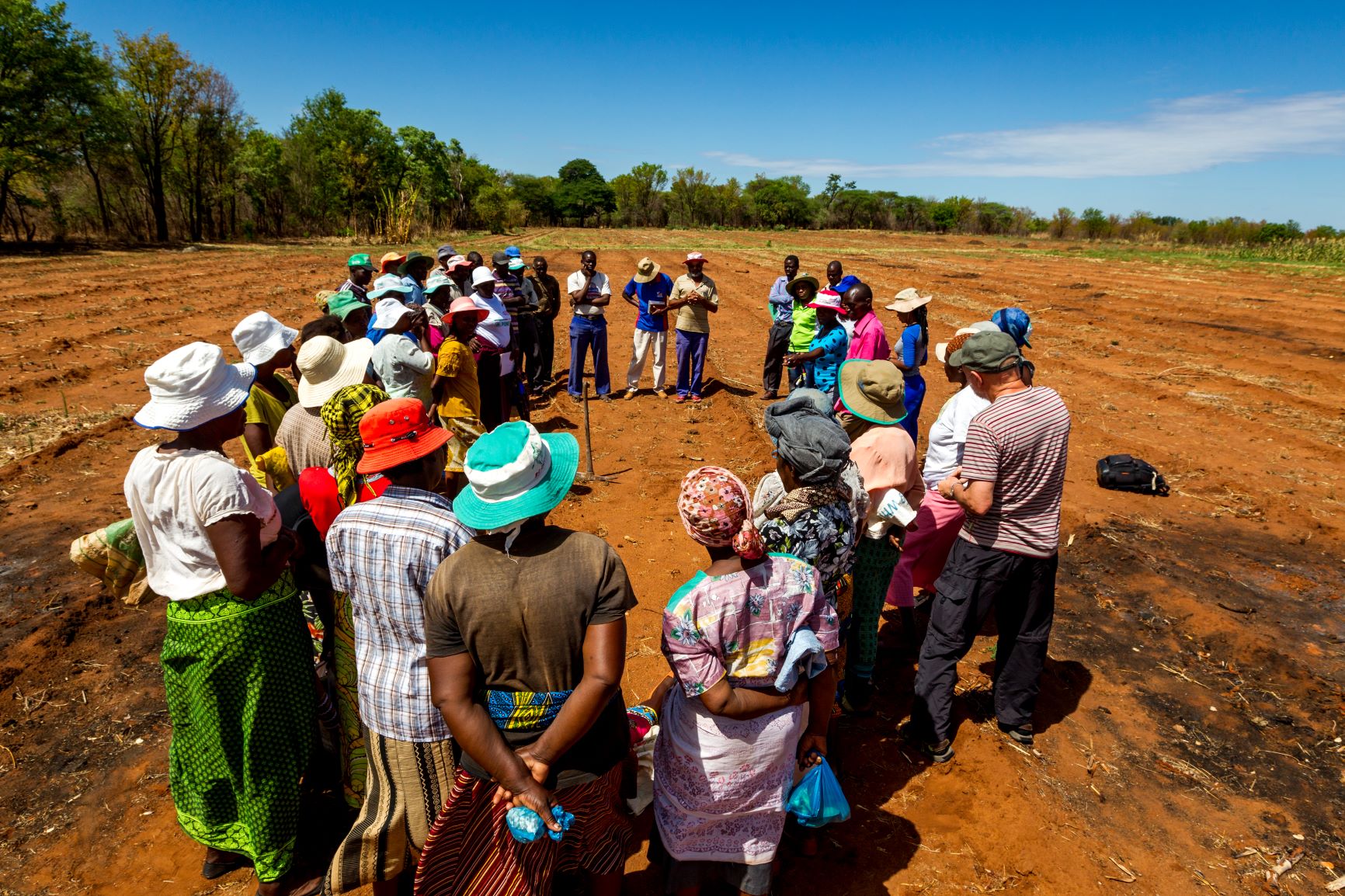Sustainable African farming